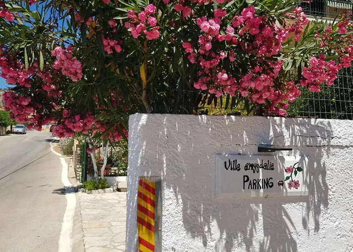 Amygdalia Case de vacanță